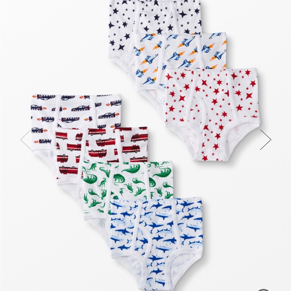 NWT Hanna Andersson cotton briefs - SIZE LARGE